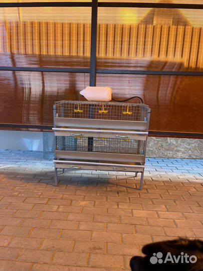 Клетки для кур несушек