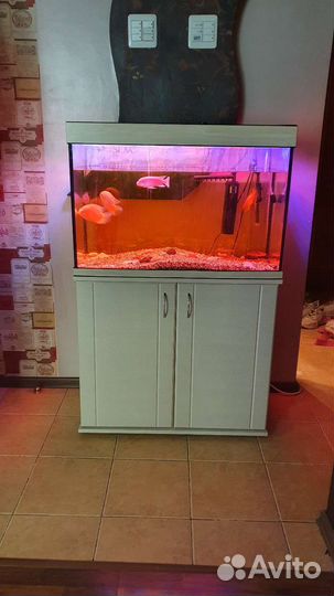 Аквариум с тумбой