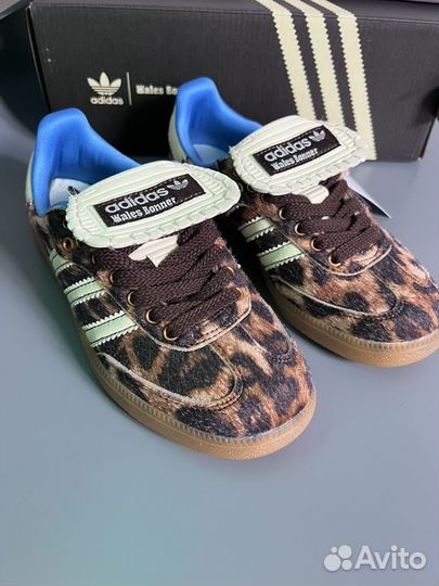 Adidas samba Wales Boner Leopard