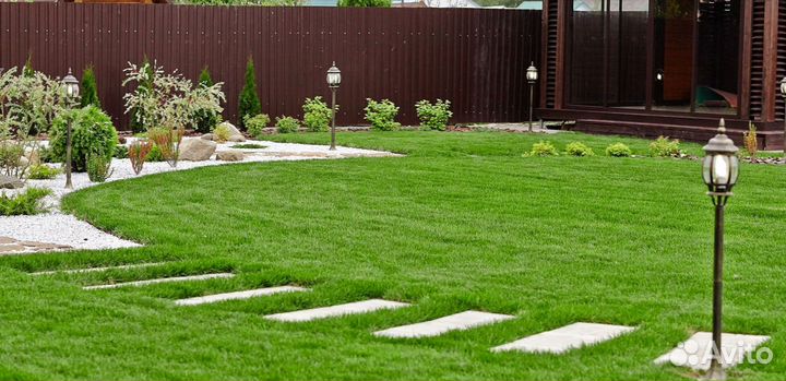 Рулонный газон от производителя - укладка