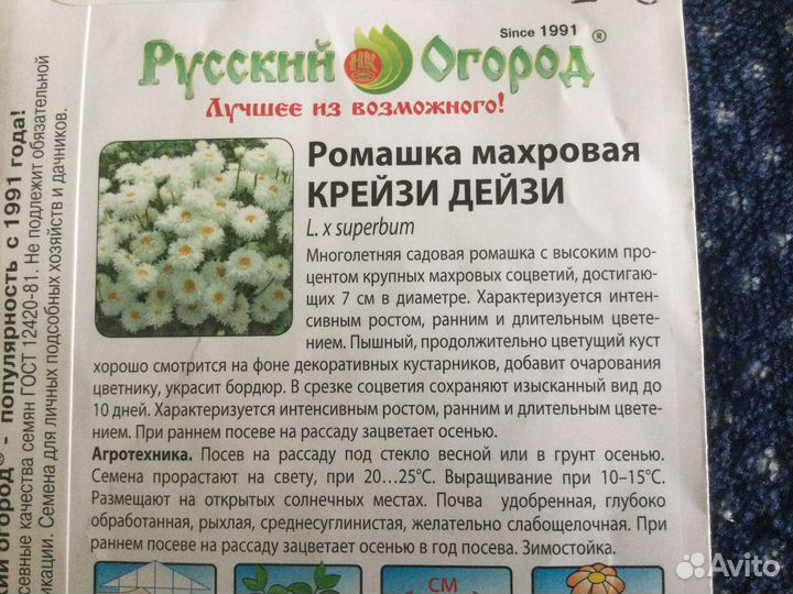 Ромашка махровая