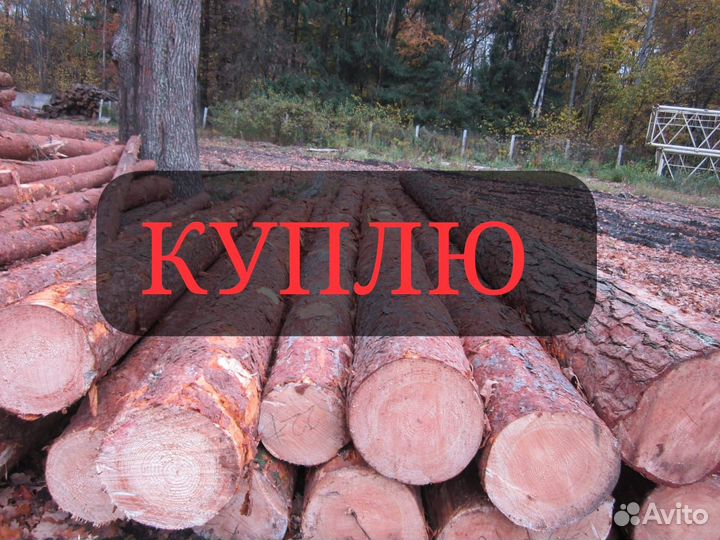 Лес кругляк пиловочник