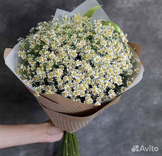 Ромашки Букет из ромашек доставка