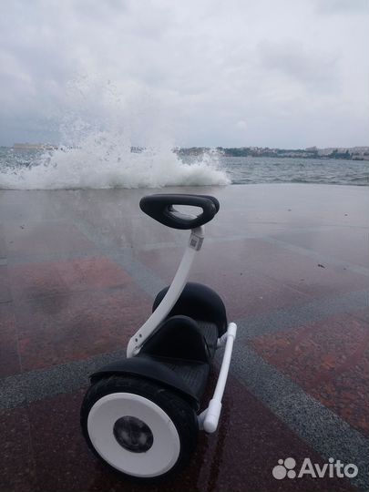 Защита, подножка, переноска для Ninebot Mini и Pro