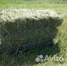 Сено в тюках