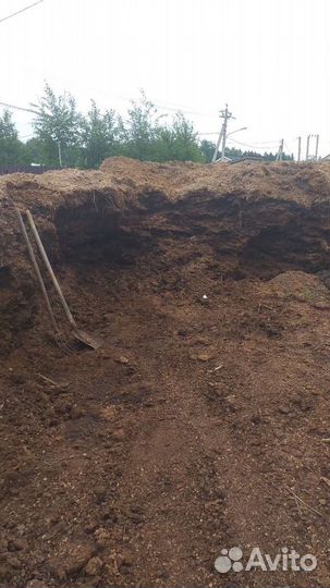 Конский навоз