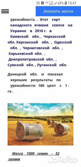 Симена Ячменя канада хамбер