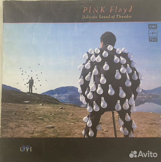 Виниловые пластинки pink floyd