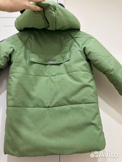 Куртка мишка фисташковая minidino 116