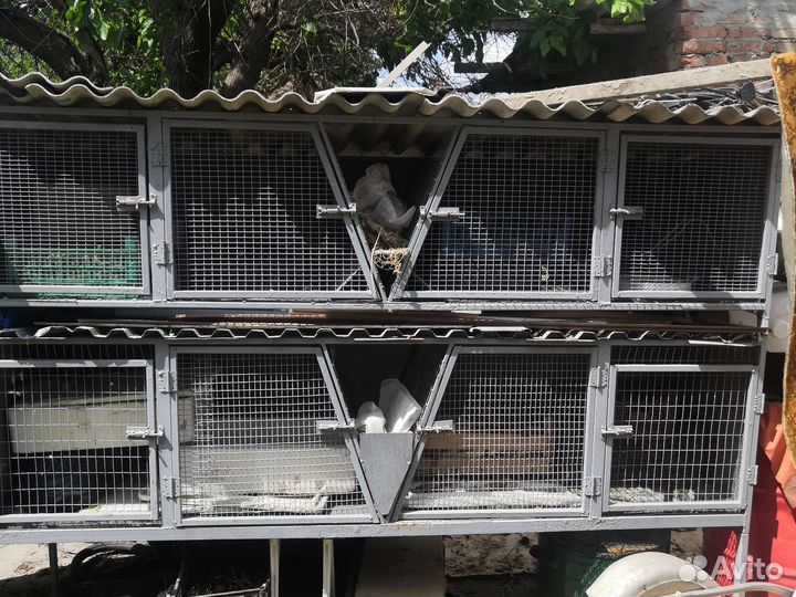 Клетка для кролика большая