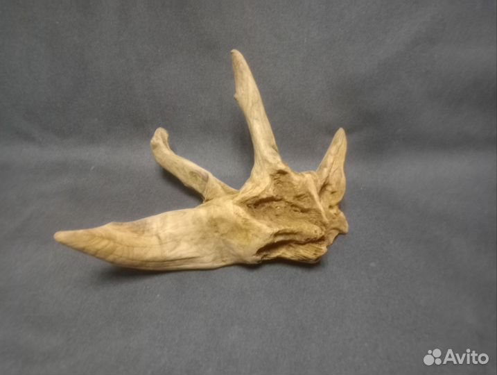 Коряжки для аквариума. Дрифтвуд. Декор