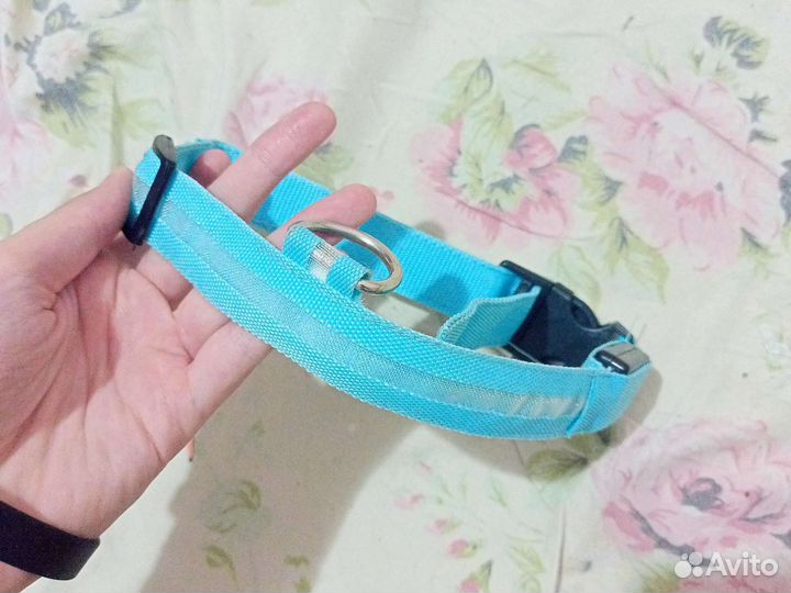 Ошейник для собак