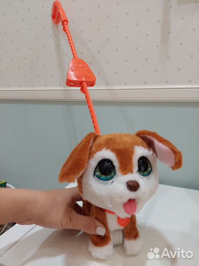 Собака каталка