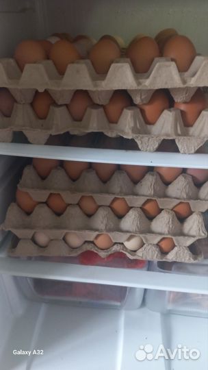 Домашние куриные яйца