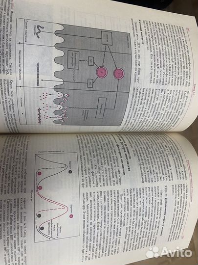 Учебник по имунологии