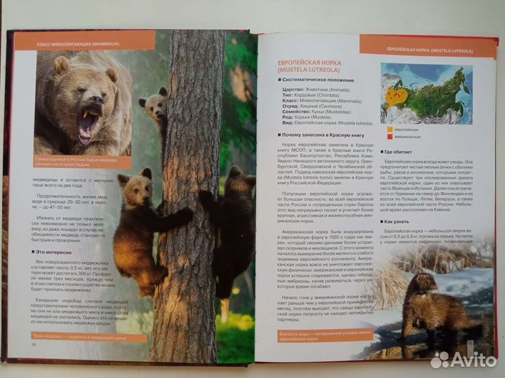 Красная книга