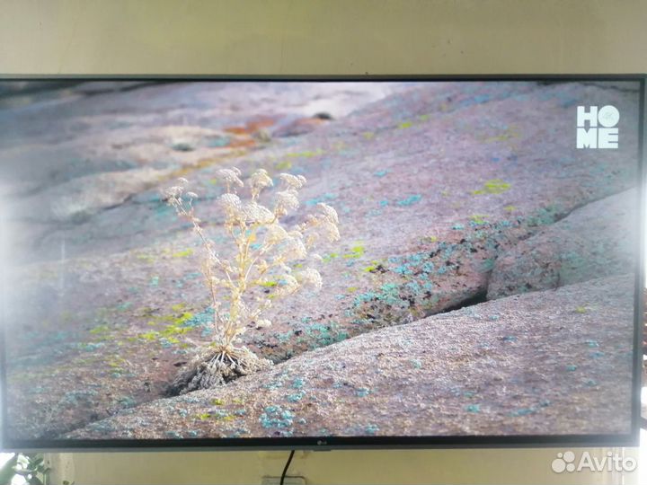 LG 49UJ750V