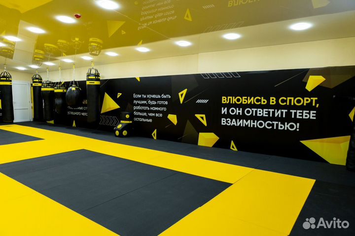 Борцовский ковер 8х8 трехцветный люверсы