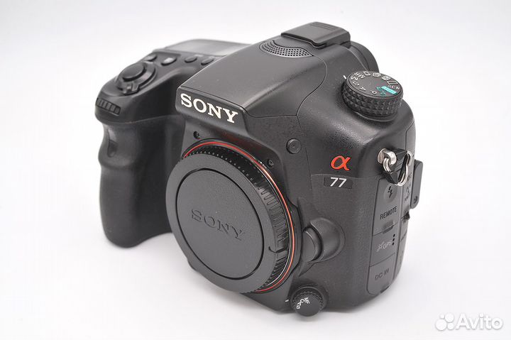Sony A-77 body