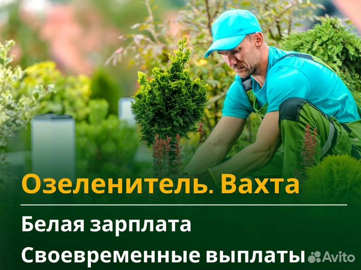 Озеленитель вахта с жильем и питанием