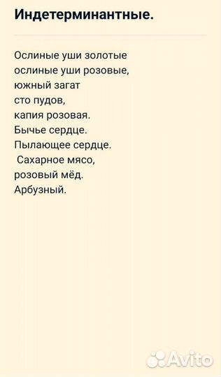 Выращивание рассады