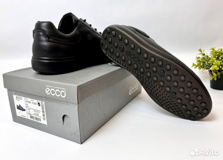Кроссовки Ecco современные