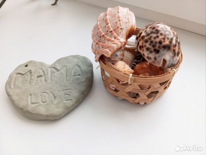 Океаническии ракушки