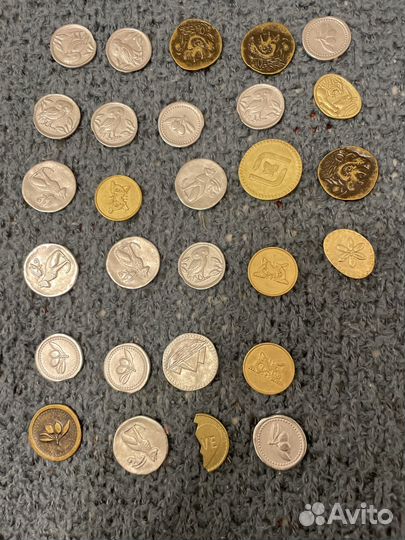 Монеты магазина магнит