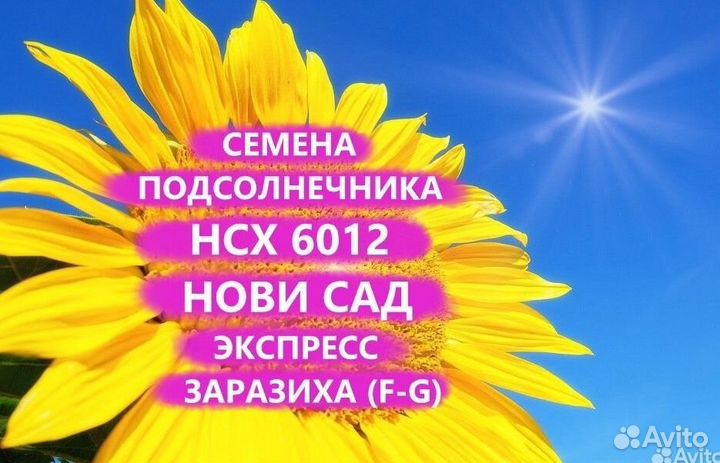 Семена подсолнечника нсх 6012 Гибрид нс, Рязань