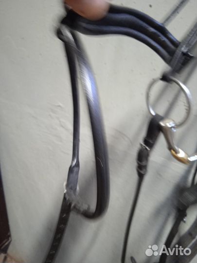 Уздечка для лошади