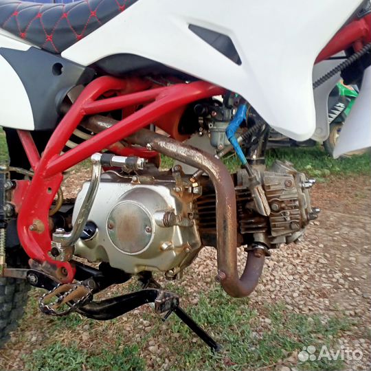 Питбайк Ирбис ттр