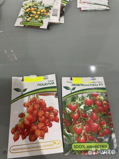 Рассада томатов