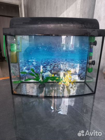 Аквариум