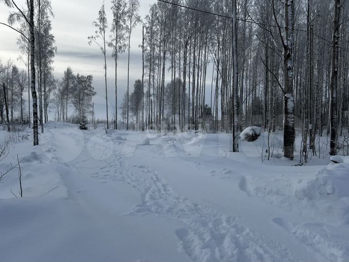 Участок 16,2 сот. (ИЖС)