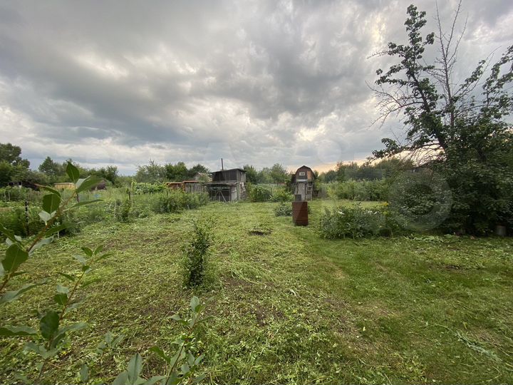 Участок 6 сот. (СНТ, ДНП)