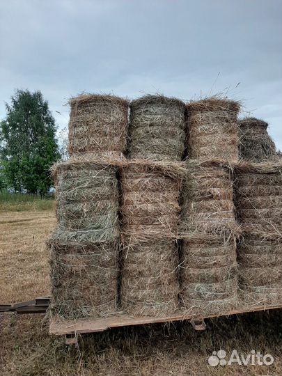 Сено в рулончиках