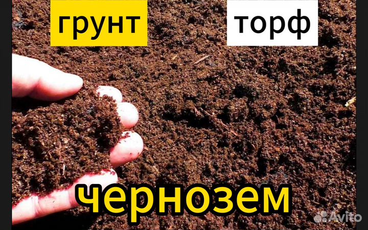 Чернозем плодородный грунт