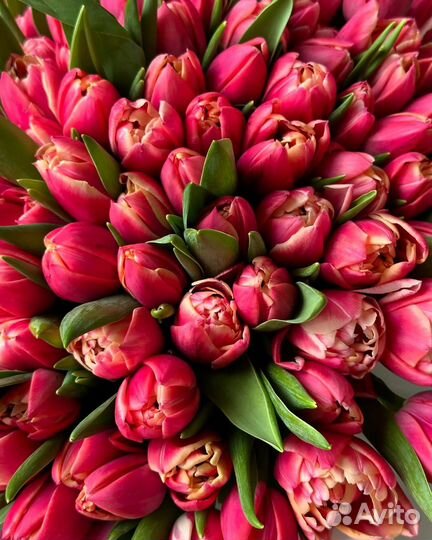 Тюльпаны букет из тюльпан