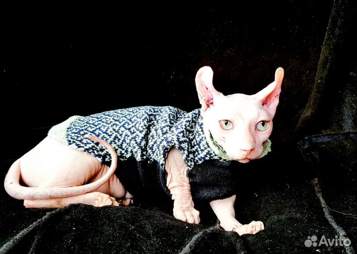 Двэльф. Девочка