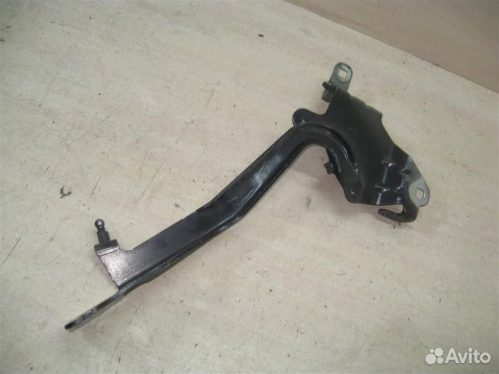 Петля капота правая Renault Scenic 3 (JZ) 2010