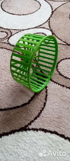 Корм и амуниция для хомяков