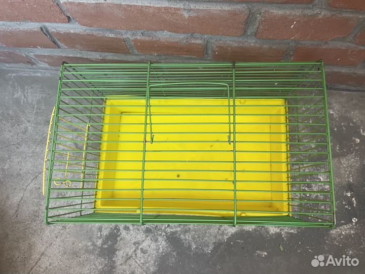 Клетка