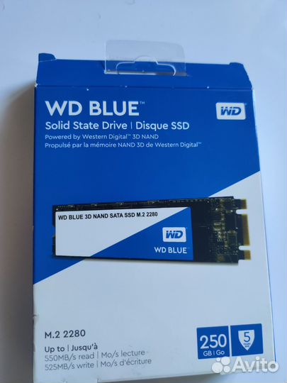 Wd blue ssd 250 gb
