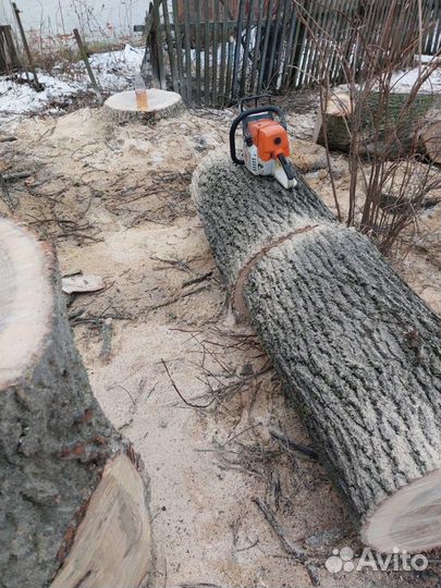 Спил деревьев с вывозом