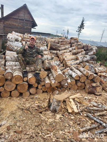 Драва берёзовые Г Полевской