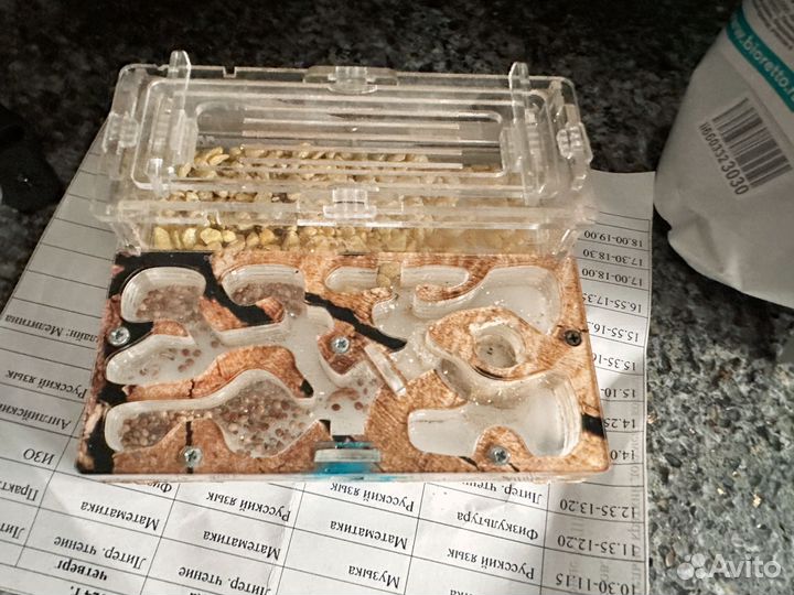 Муравьиная ферма без муравьев с колбами