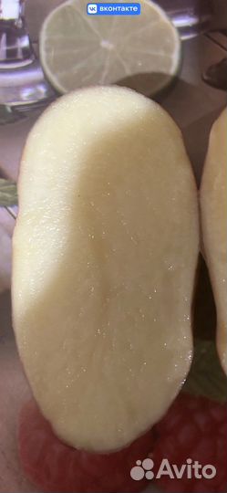 Картофель крупный, есть семена, сорт славянка