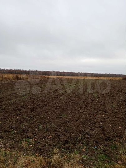 Участок 36 сот. (ИЖС)