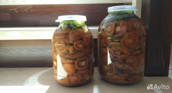 Грибы рыжики соленые