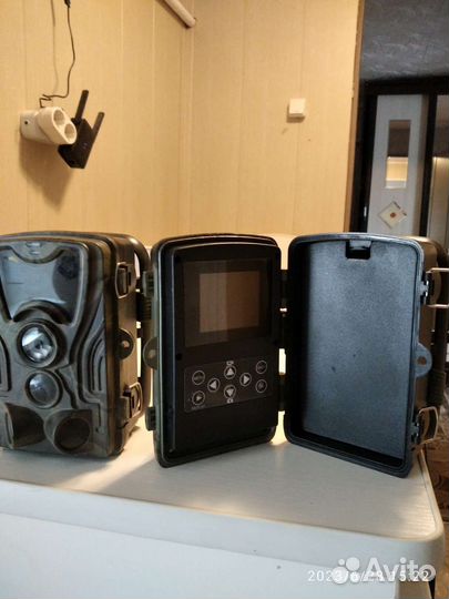 Фотоловушка